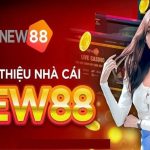 Tìm hiểu một số thông tin về nhà cái cá cược online New88