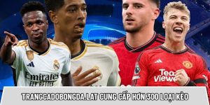 Trangcadobongda.lat cung cấp hơn 300 loại kèo đặc sắc nhất